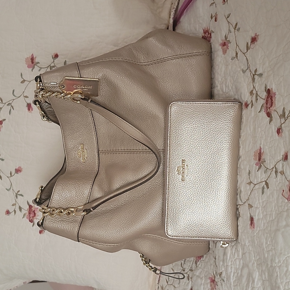 Coach Bag and matching wallet